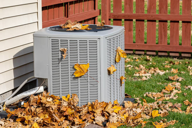 Best Best HVAC Companies  in Willacoochee, GA